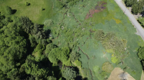 Drone view of wetland July 2023